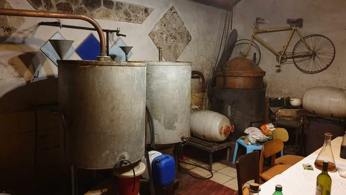 Apartman Bruna Šibenik Esterno foto